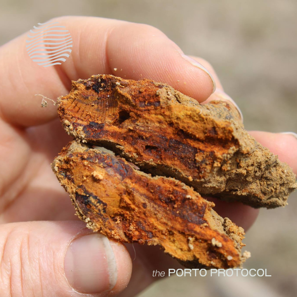 The Vineyards at Dodon – Healthy soils to sequester carbon in vineyards