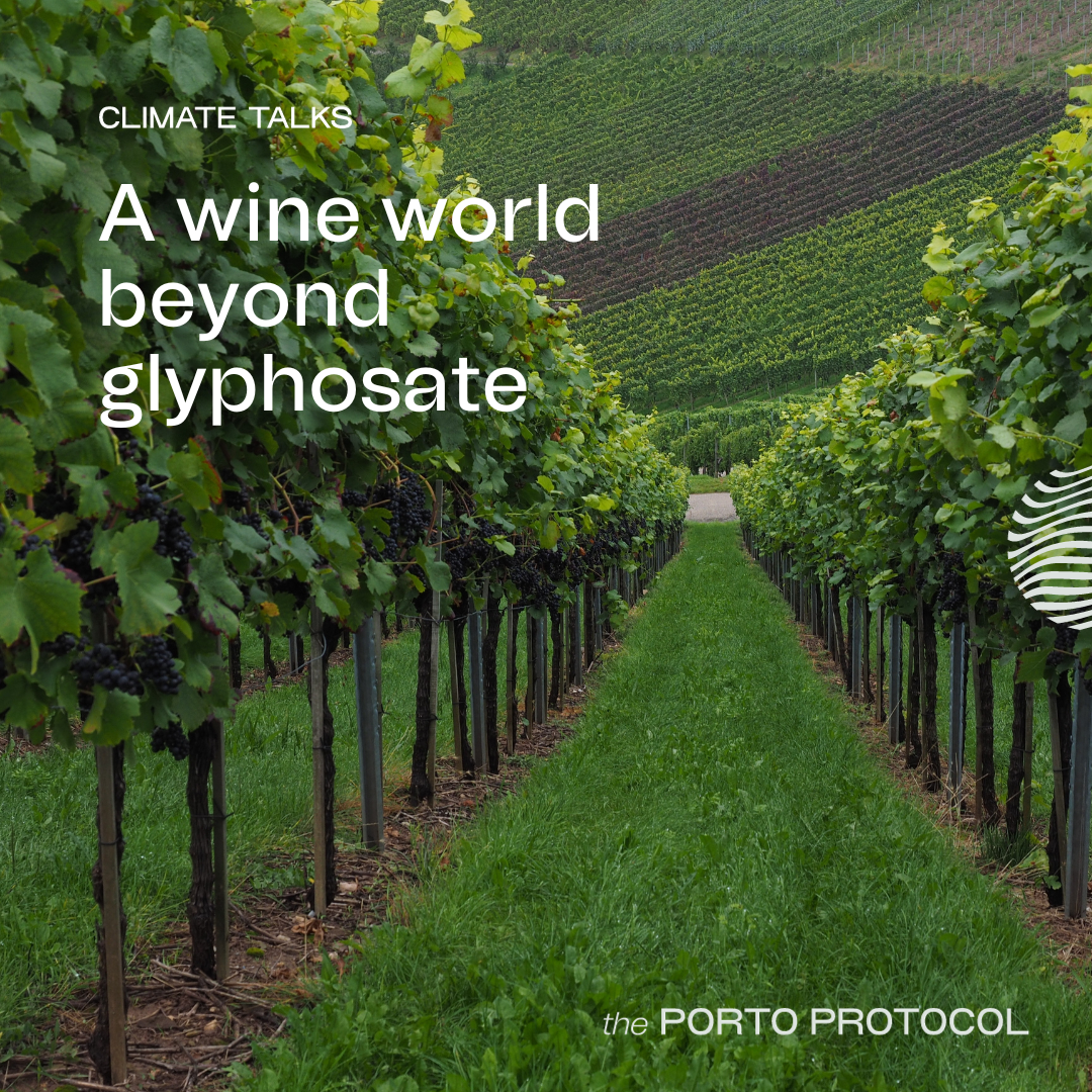 Wine & Alternatives to Glyphosate: Emmanuel Bourguignon, Mimi Casteel, Paulo Pereira and Linda Johnson Bell