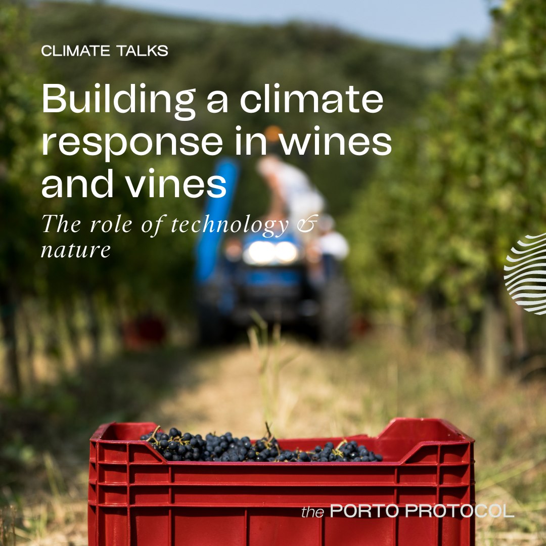 Wine, climate, nature & technology: Jamie Goode, Simon Grier, Corey Beck and Fernando Buscema