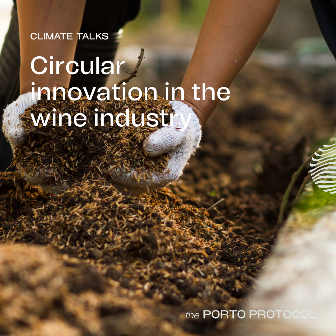 Circularity & Wine: Miguel Cachão, Rosa Prati, Valentina Lira and Zach Lawless