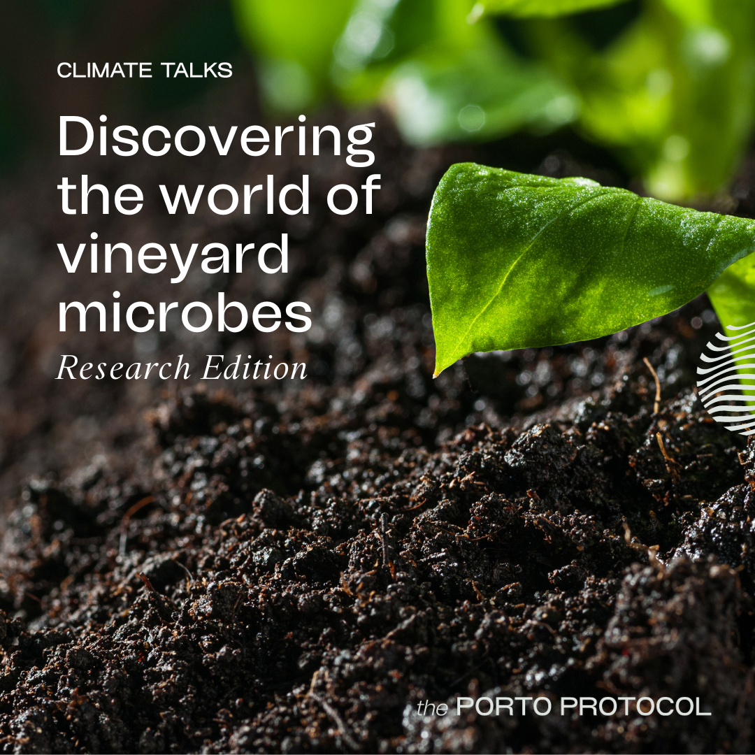 Vineyard microbes: Tom Croghan, Kees Van Leeuwen, Andreia Figueiredo and Alex Gobbi