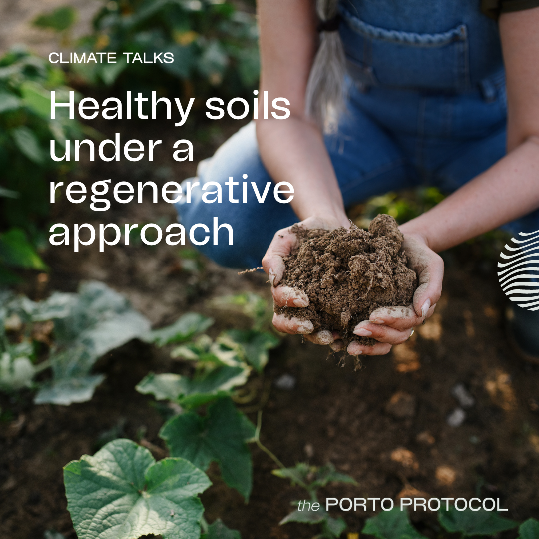 Healthy soils under a regenerative approach: Mimi Casteel, Teresa Martinez, Álvaro Martinho and Cristina Calheiro