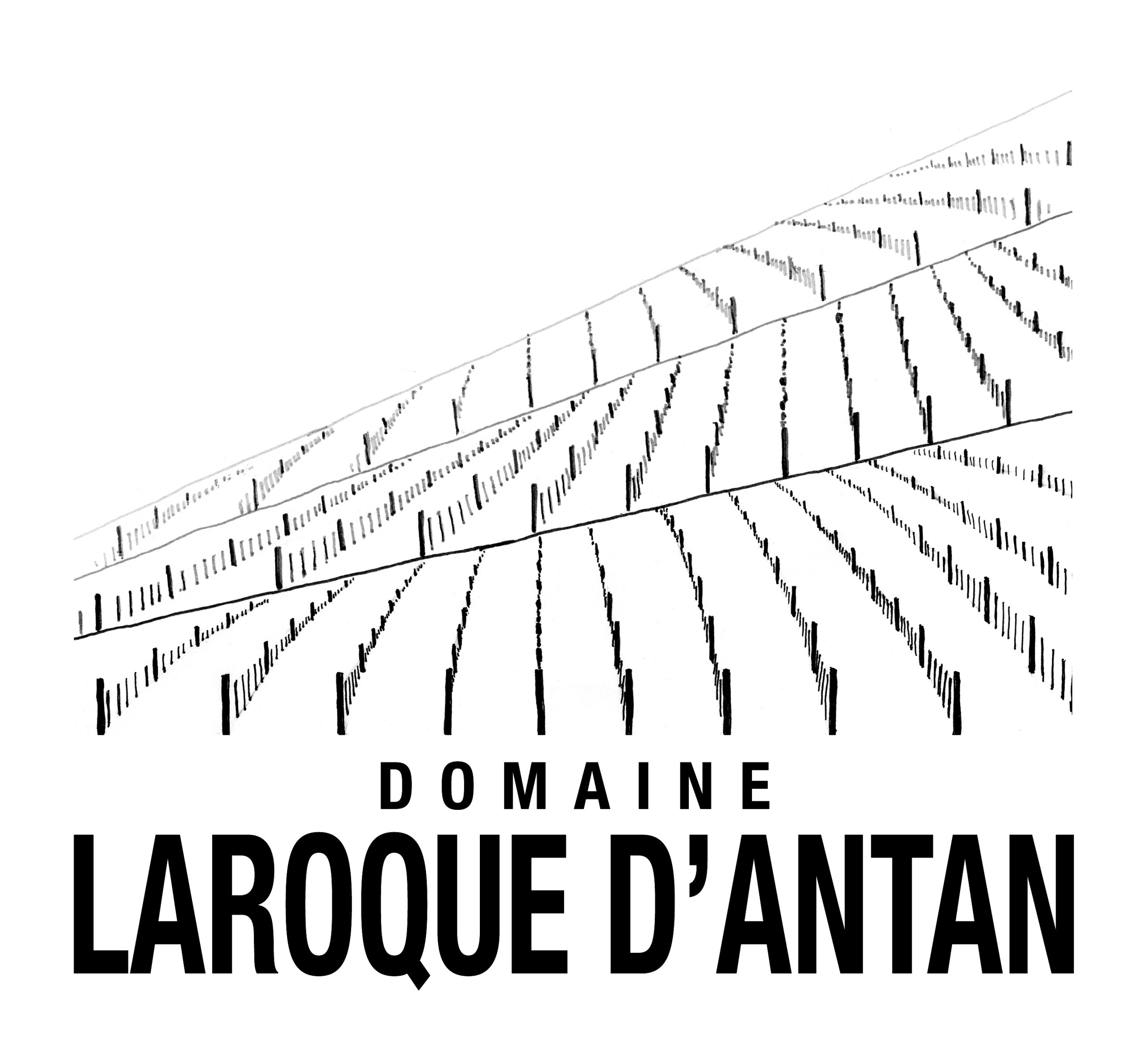 Domaine Laroque D’Antan