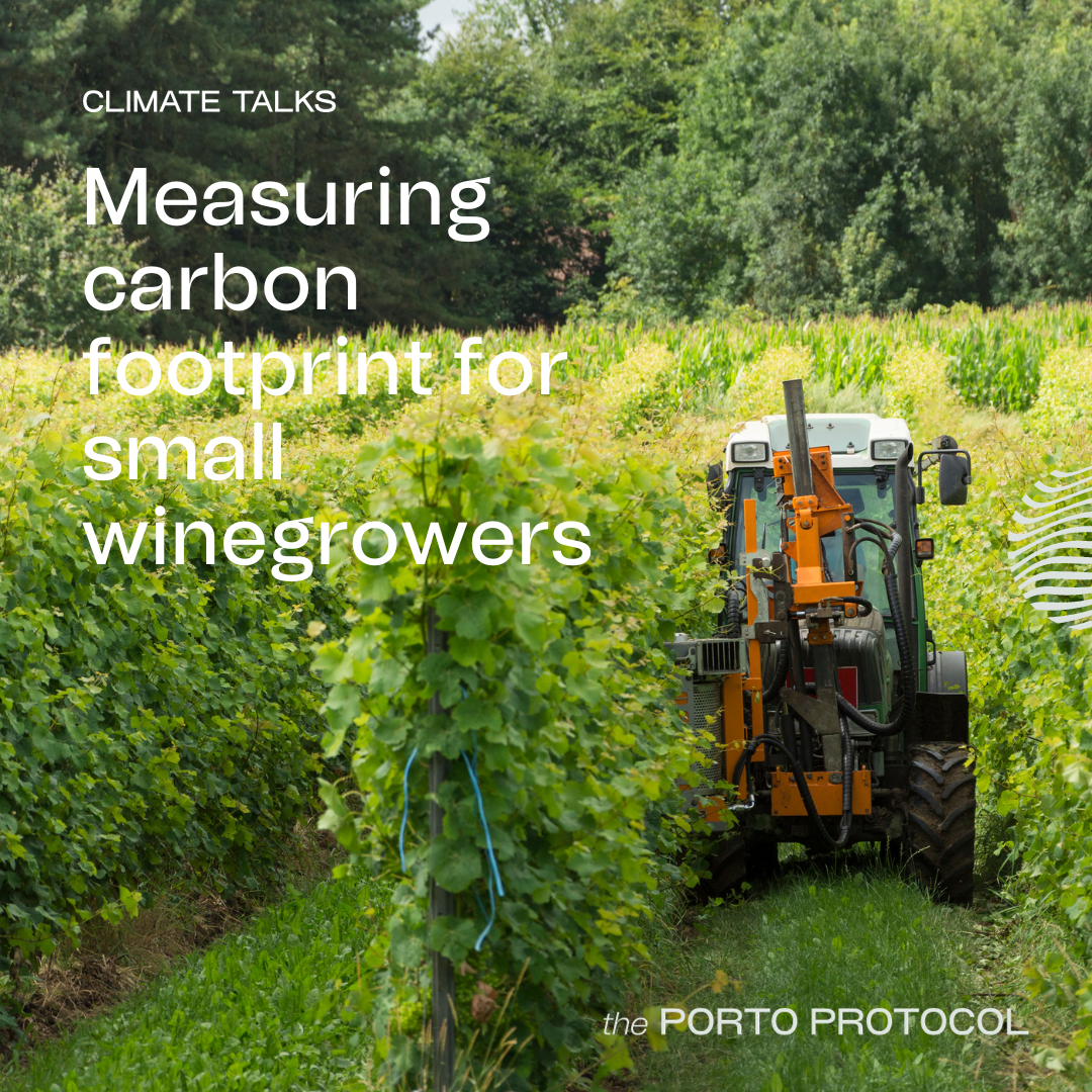 Measuring carbon footprint for small winegrowers: Chris Foss, Alice Rule, Stefano Stefanucci and Alexandre Relvas