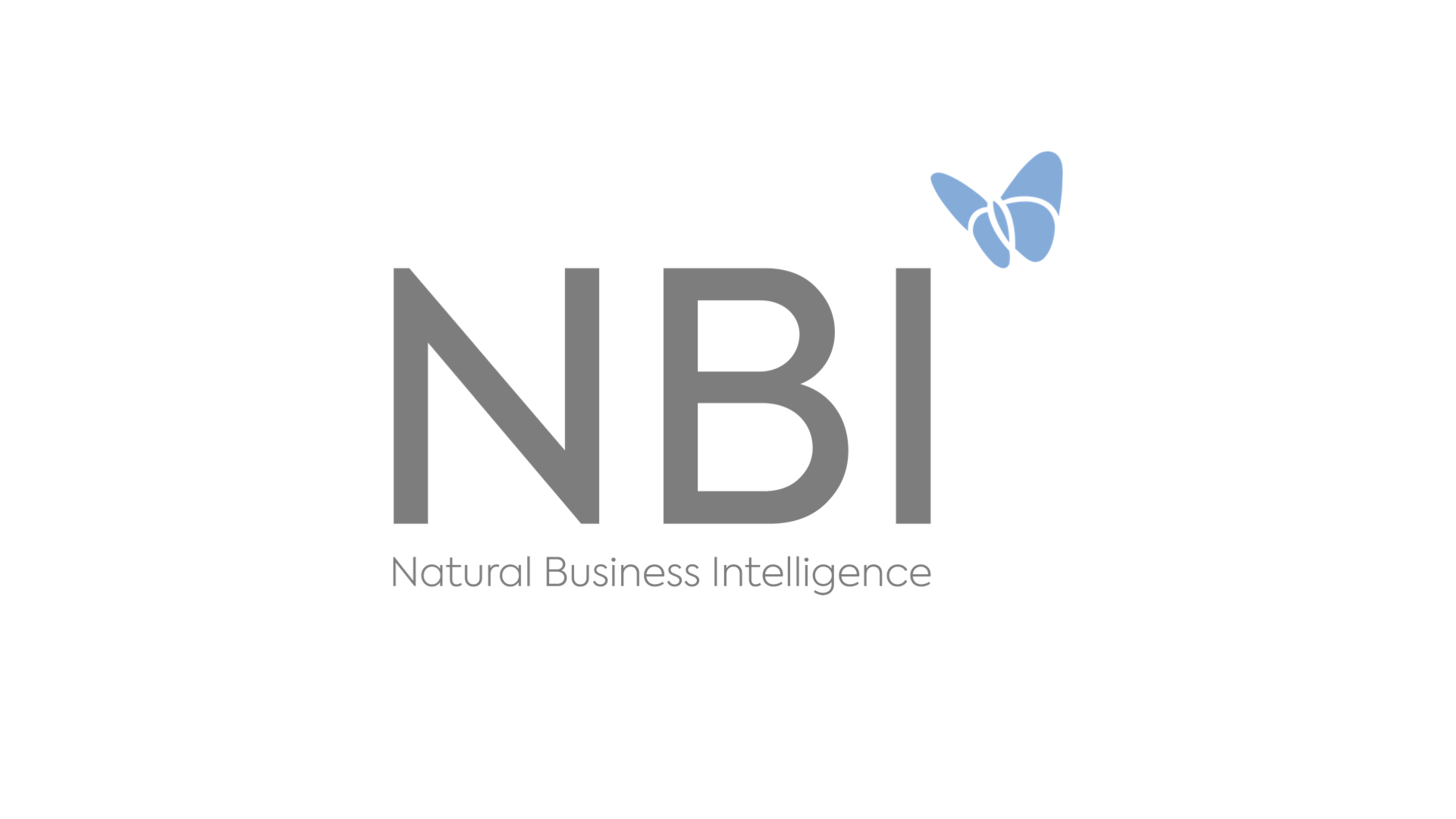 NBI – Natural Business Intelligence