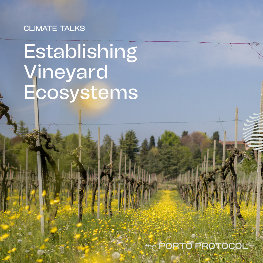 Vineyards Ecosystems: Emmannuel Bourguignon, Nuno Gaspar de Oliveira, Tom Croghan and Cristina Crava