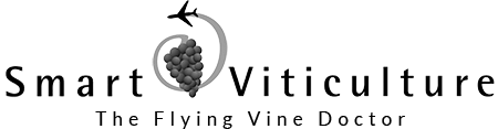 SMART VITICULTURE