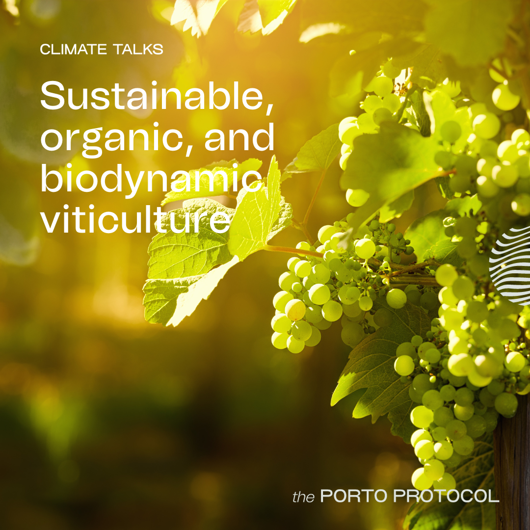 Types of Viticulture & carbon footprint: Diana Snowden Seysses, Fred Loimer, Stan Zervas and David Fonseca Guimaraens