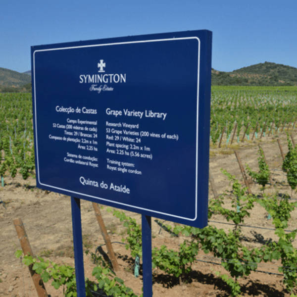 Symington Family Estates – Grape Variety Library