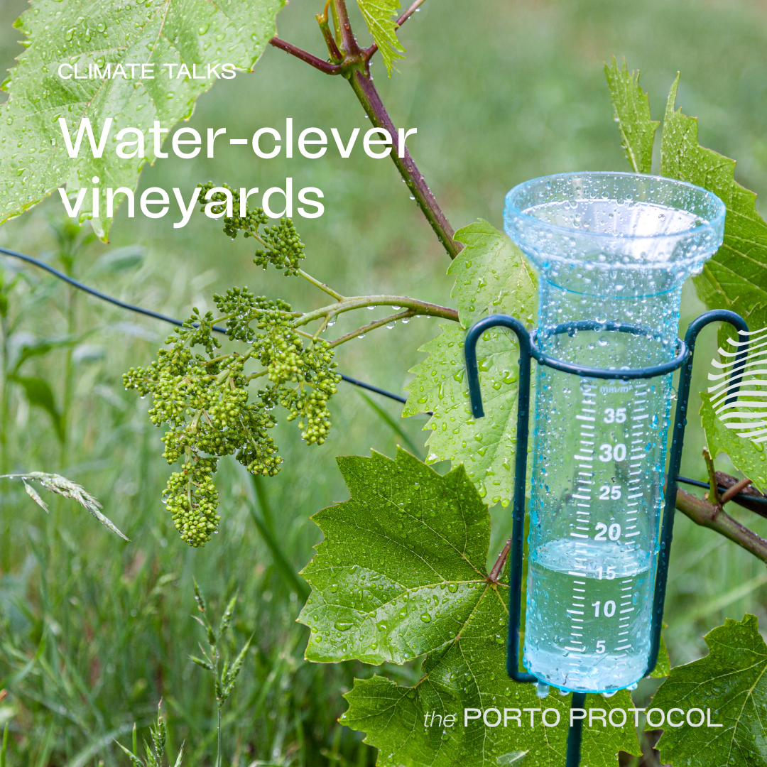 Water-clever Vineyards: Rosa Kruger, Joan Esteve, Luis Reginato & Sushma Shankar