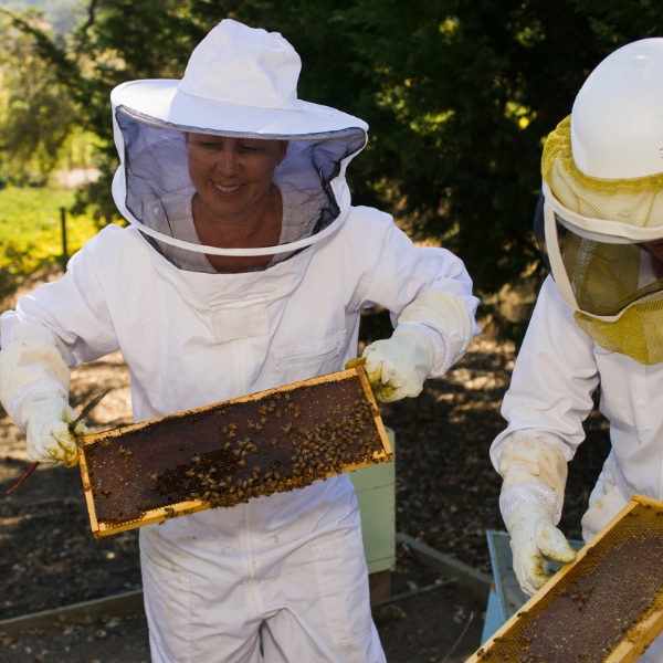 The Family Coppola – Coppola Beekeeping Program