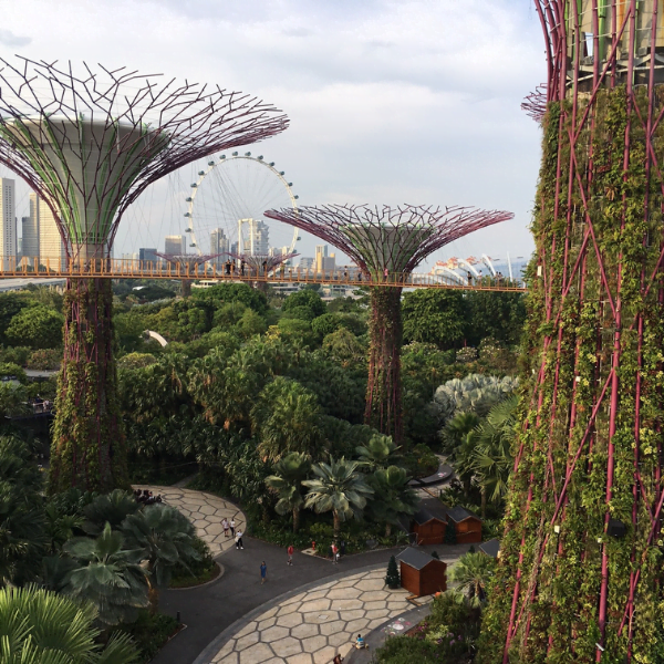 The Impact of Green Roofs – An article by the National Green Roof Association