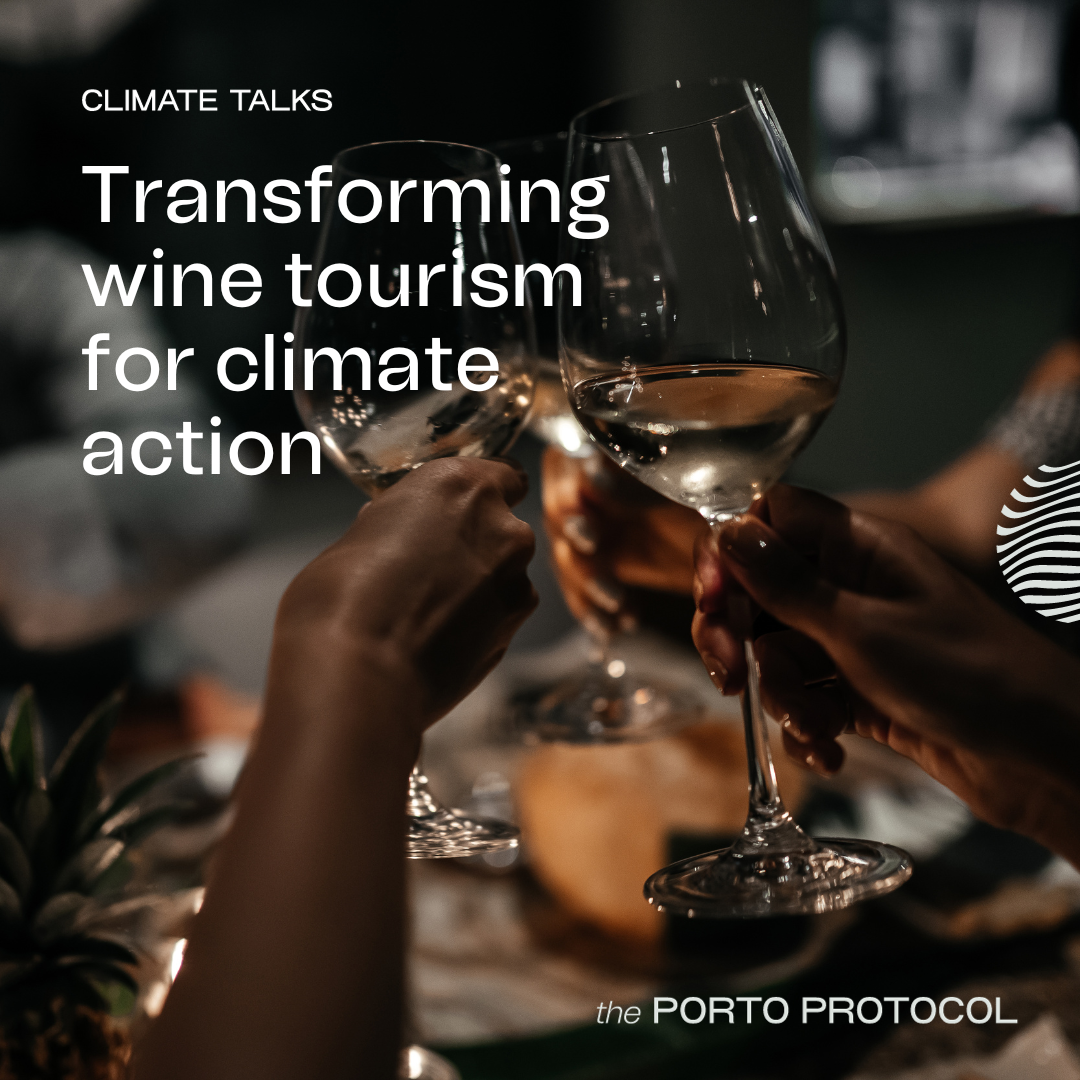 Wine tourism & climate action: Adrian Bridge, Caro Feely, Heidi Newton-King and Catherine Leparmentier