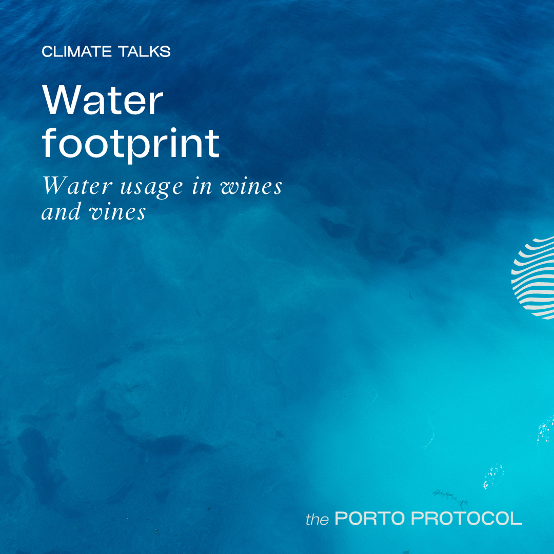 Water & WIne: Alexandre Relvas, Fran Smit, Linda Johnson-Bell and Tiago ALves de Sousa