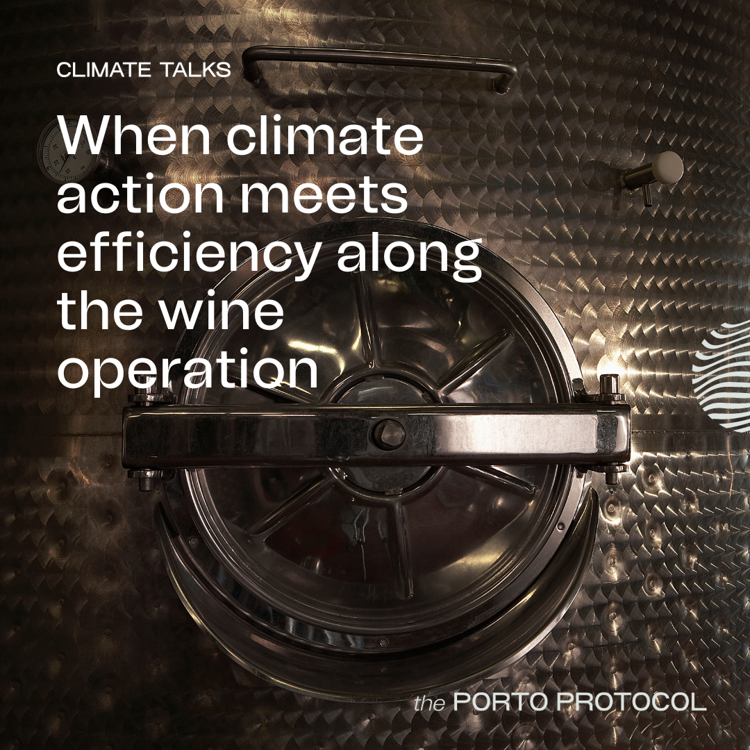 When climate Action meets efficiency along the wine operation