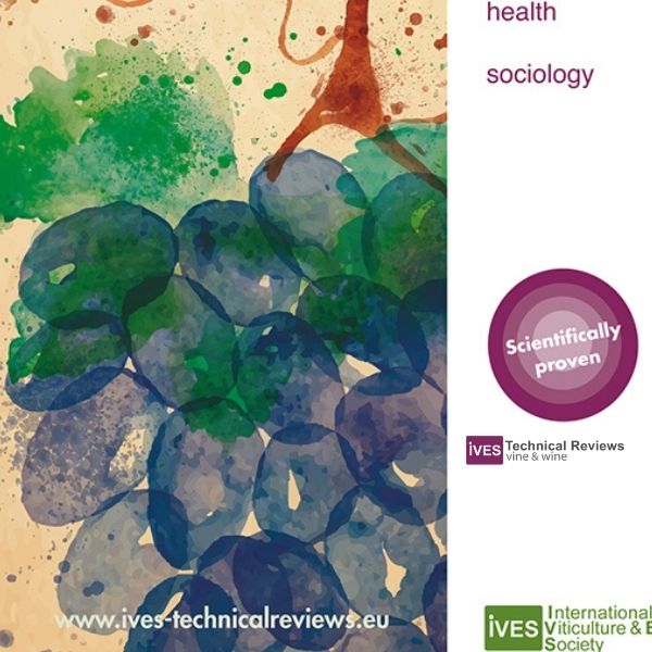 Visitor’s Motivational Framework and Wine Routes’ Contribution to Sustainable Agriculture and Tourism