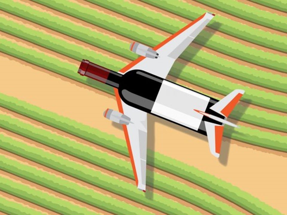 Wineries Strive for Carbon Neutrality. Is It Enough?