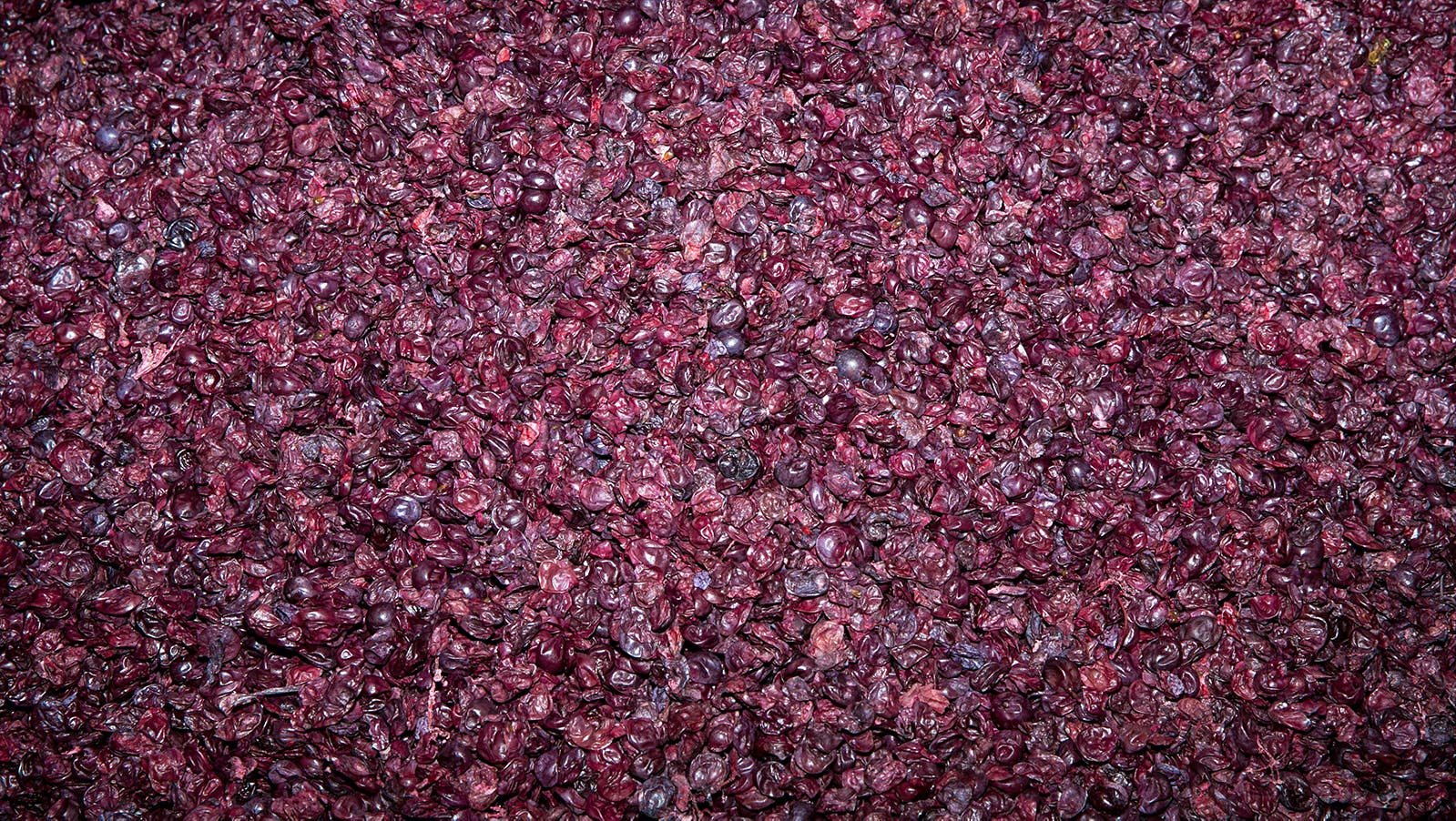 A Second Life for Winemaking's Leftover Grape Skins an interesting article by Taylor McBride - Wine Spectator