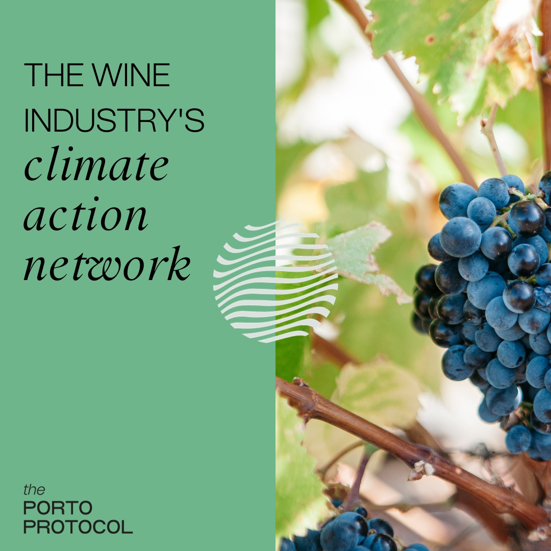 Porto Protocol to join MEDCLIV (Mediterranean Climate Vine & Wine Ecosystem)