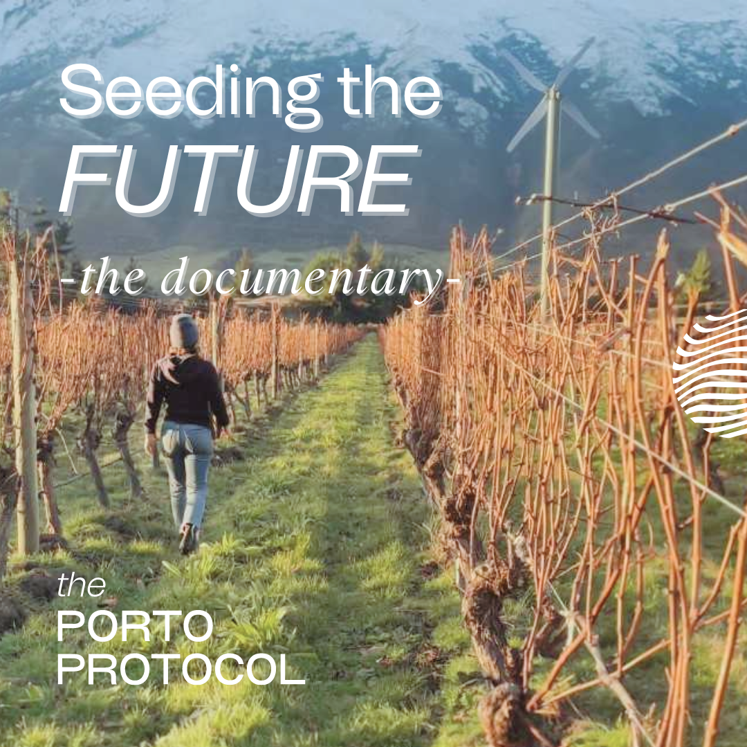 Porto Protocol Unveils third Documentary: "Seeding the Future"