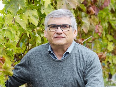Stefano Poni