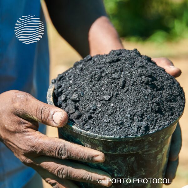 Applications of biochar in viticulture