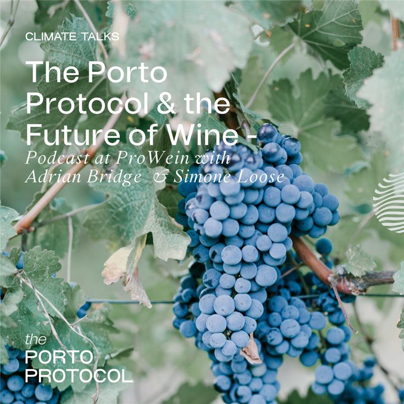The Porto Protocol & the Future of Wine, Podcast at ProWein with Adrian Bridge & Simone Loose