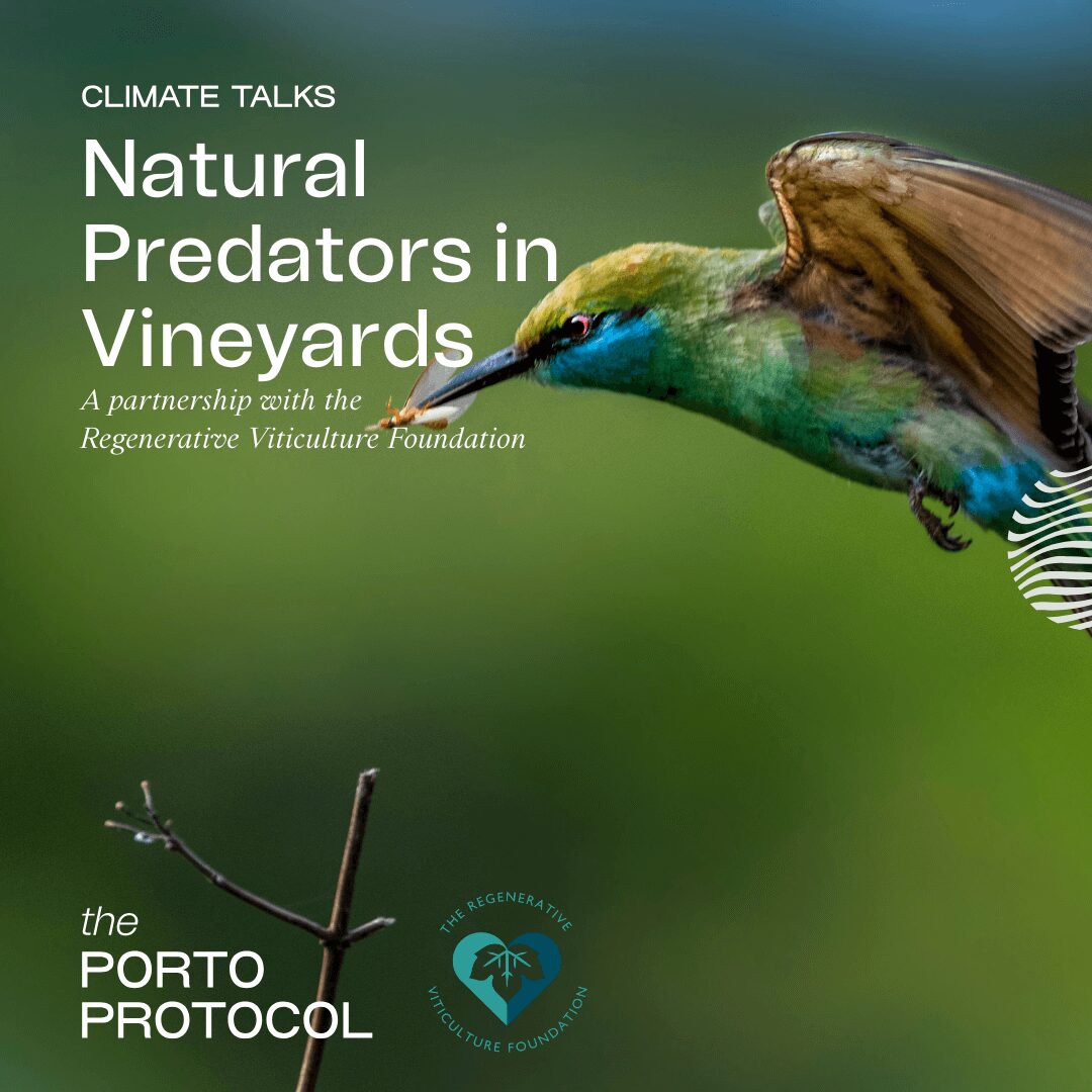 Natural Predators in Viticulture