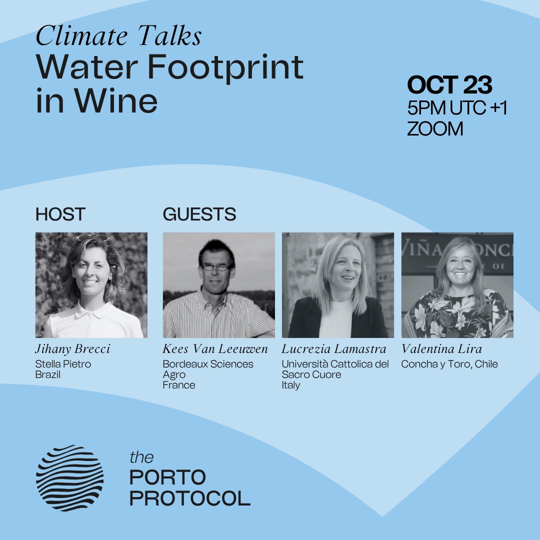 Water Footprint in Wine