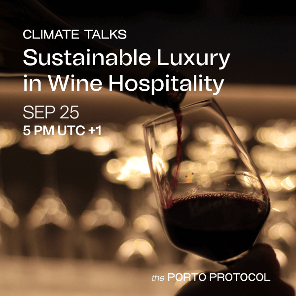 Sustainable Luxury in Wine Hospitality