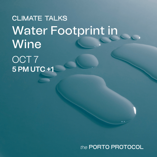 Water Footprint in Wine