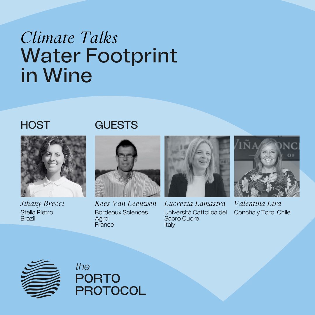 Water Footprint in Wine with Kees Van Leeuwen, Lucrezia Lamastra and Valentina Lira