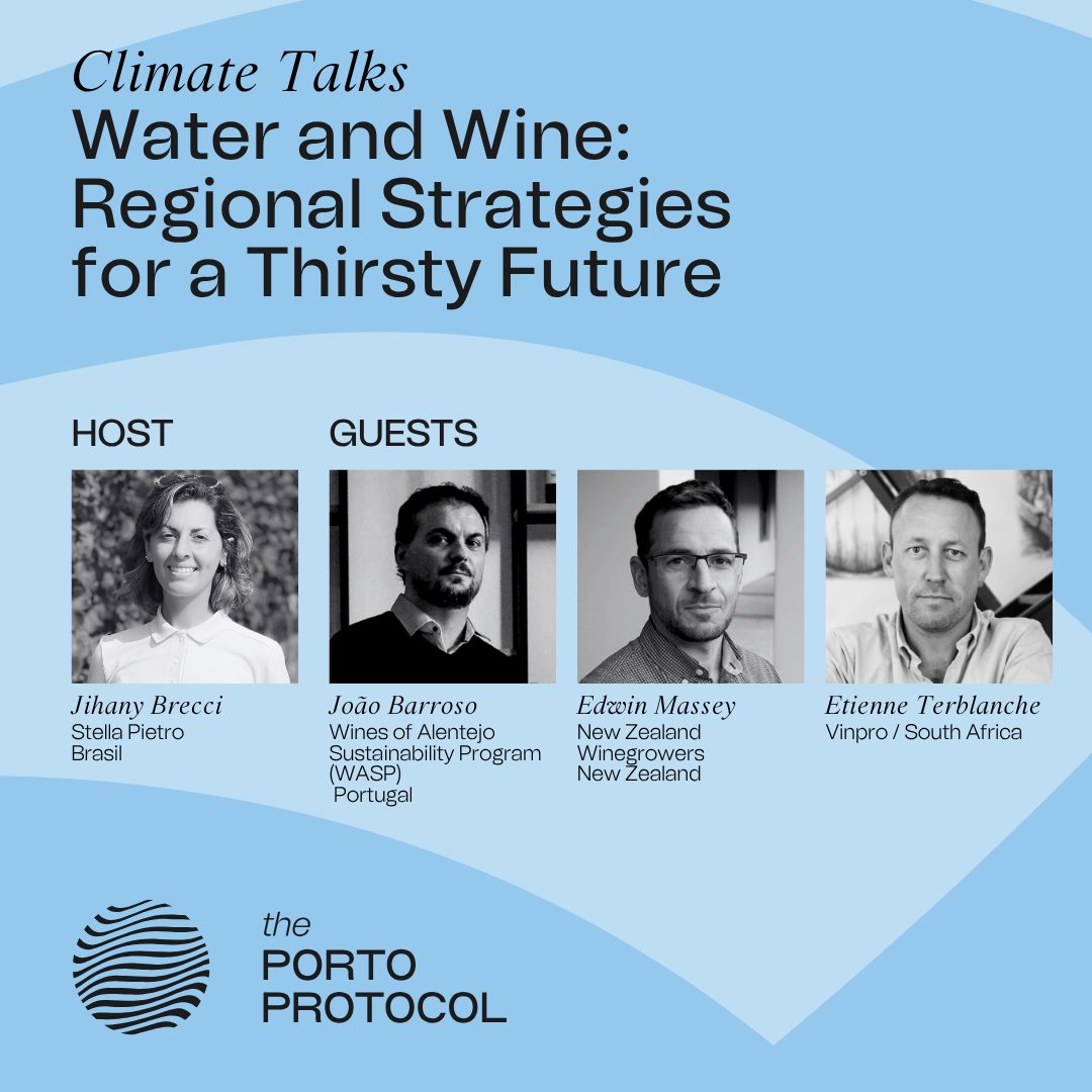Water and Wine: Regional Strategies for a Thirsty Future with Edwin Massey, João Barroso and Etienne Terblanche