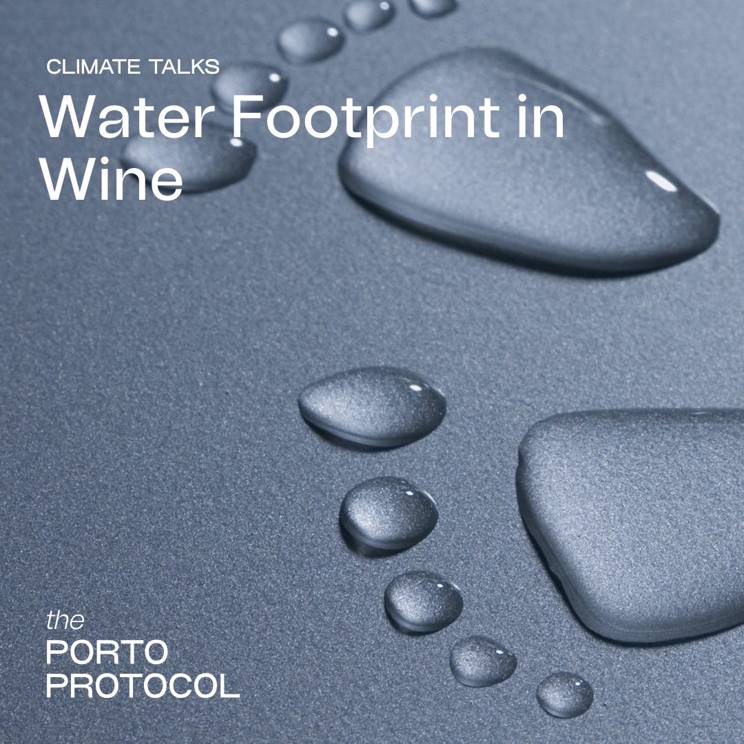Water Footprint in Wine with Kees Van Leeuwen, Lucrezia Lamastra and Valentina Lira