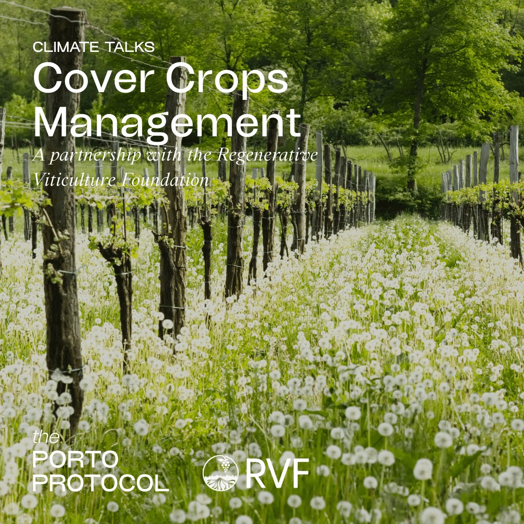 Cover Crops Management with Becky Sykes, Fred Loimer, Sveva Sernia and Jordan Lonborg