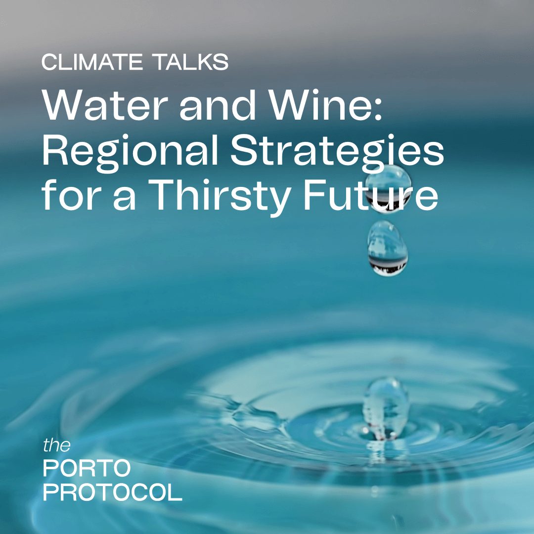 Water and Wine: Regional Strategies for a Thirsty Future with Edwin Massey, João Barroso and Etienne Terblanche