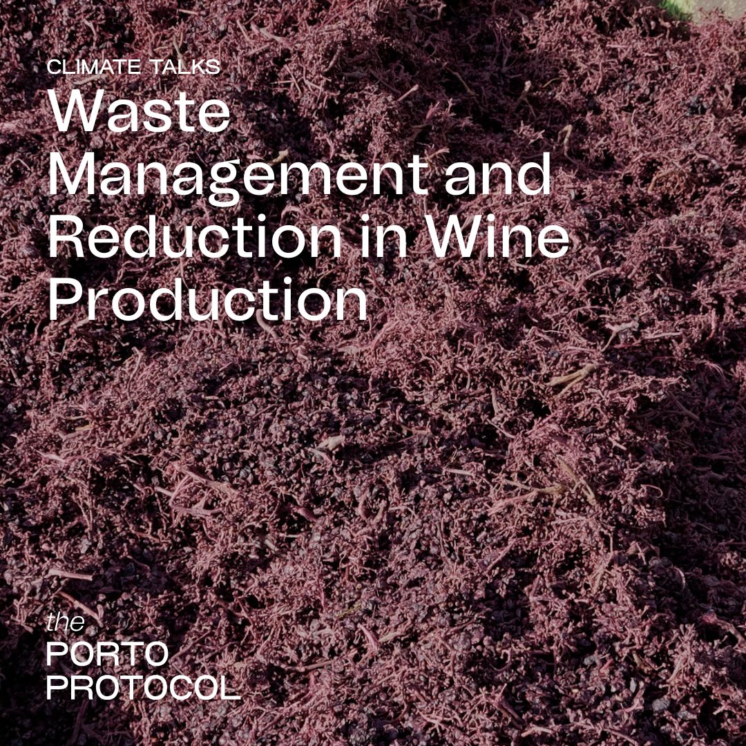 Waste Management with Alejandra Galván Rodriguez, Marta Juega,Alessandro Zironi, David Picard and Molly Sheppard