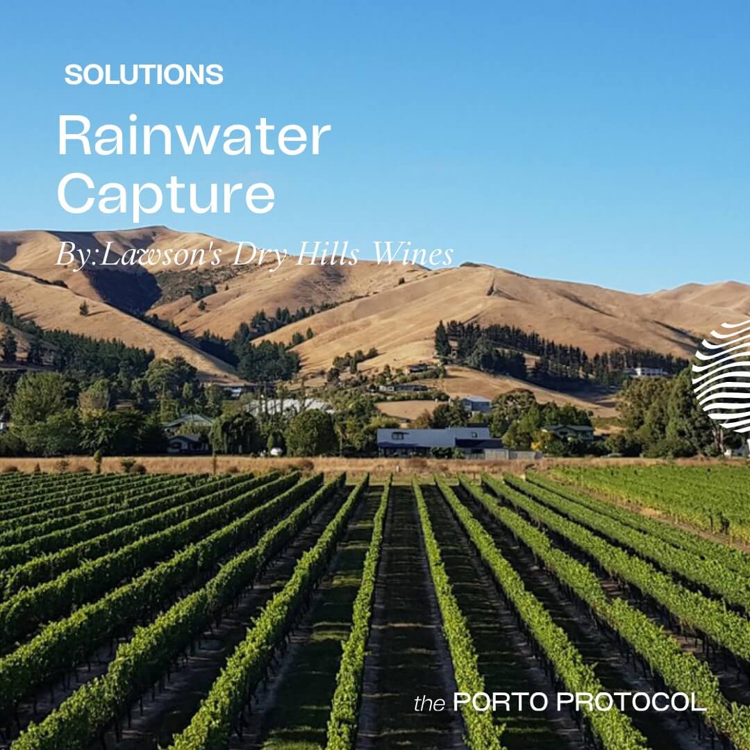 Rainwater Capture by Lawson´s Dry Hills Wines