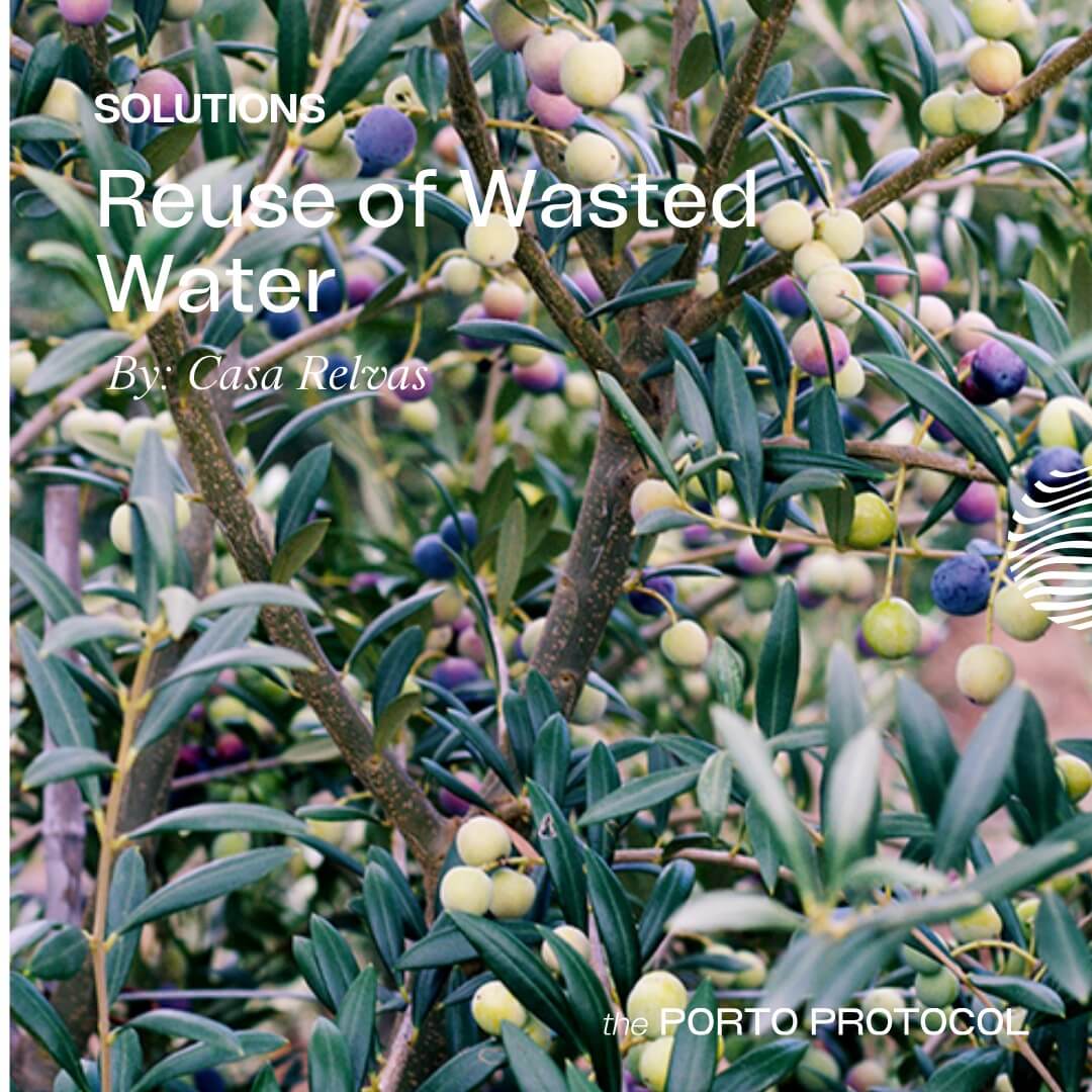 Reuse of Wasted Water by Casa Relvas