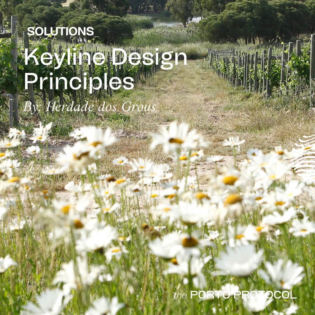 Keyline Design Principles by Herdade dos Grous