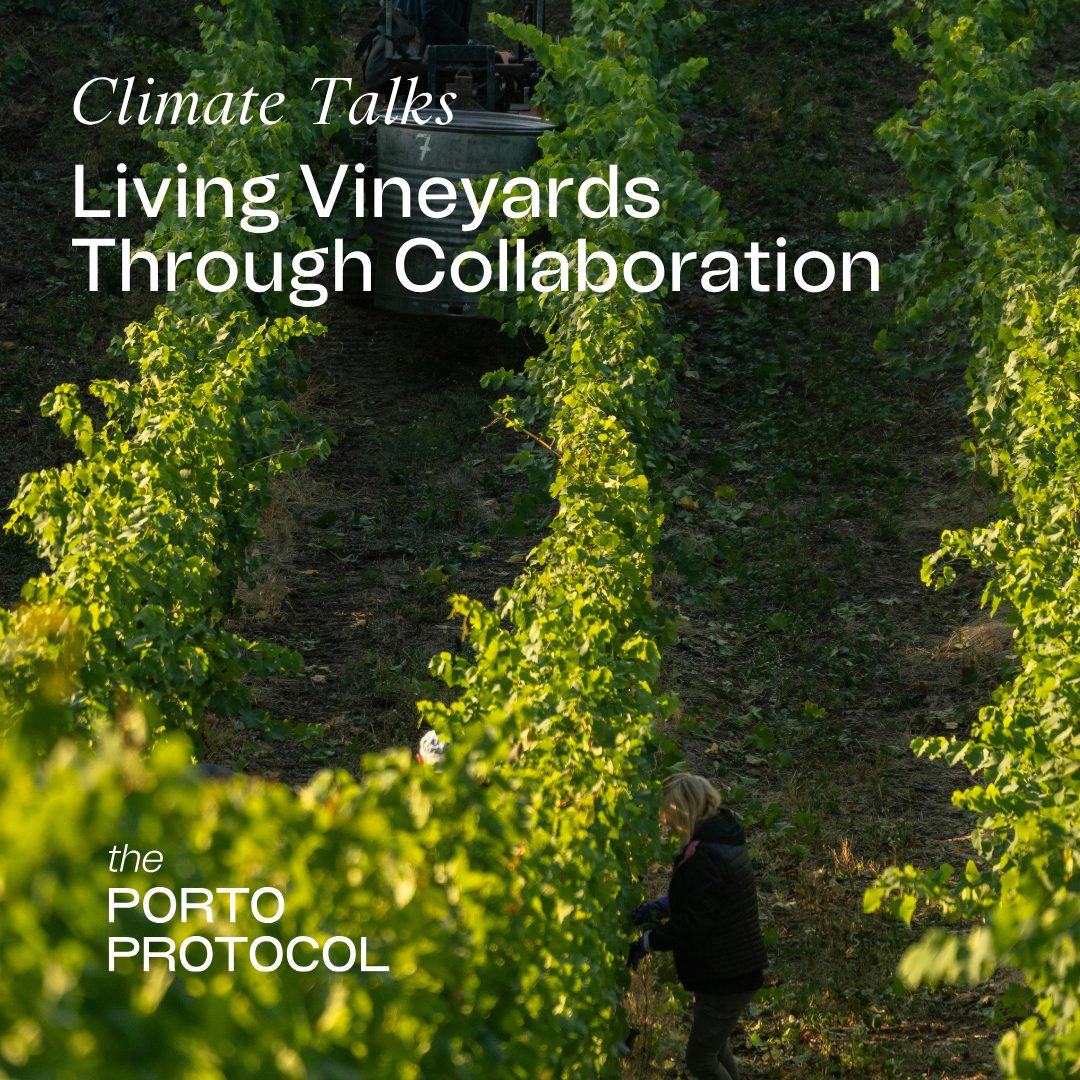 Living Vineyards Through Collaboration