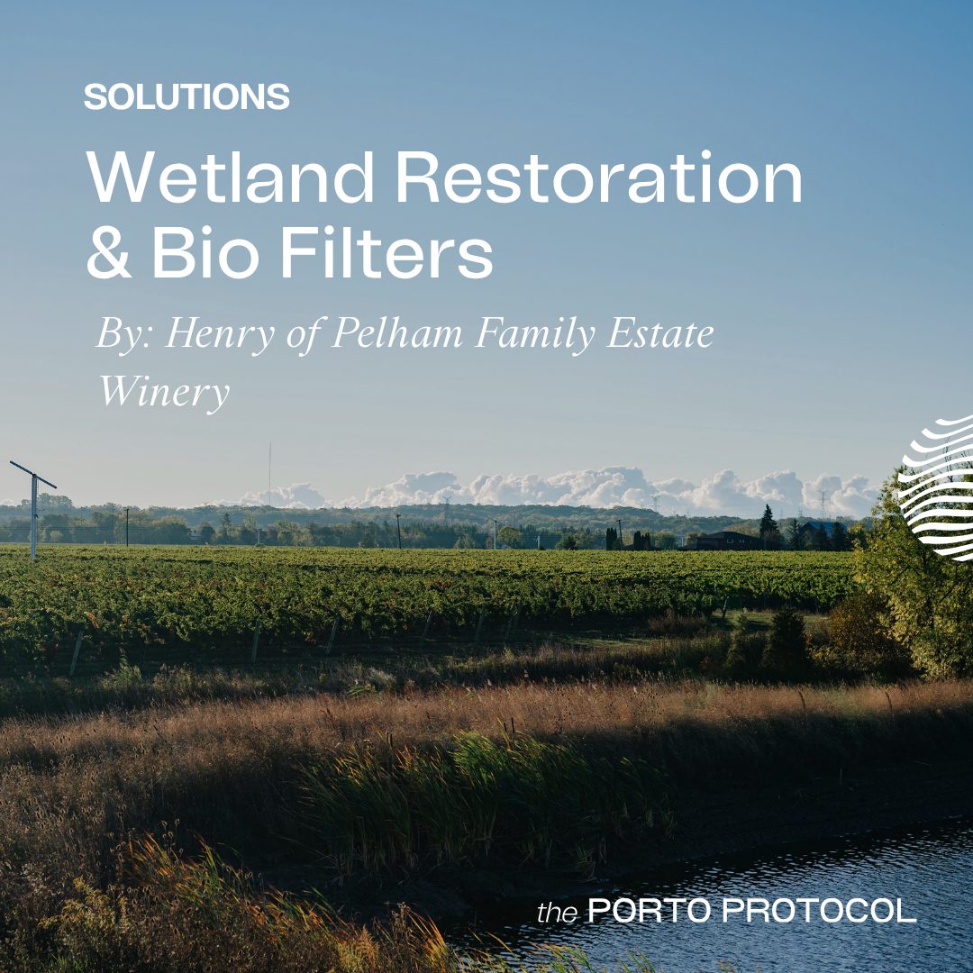 Wetland Restoration & Bio Filters by Henry of Pelham Family Estate Winery