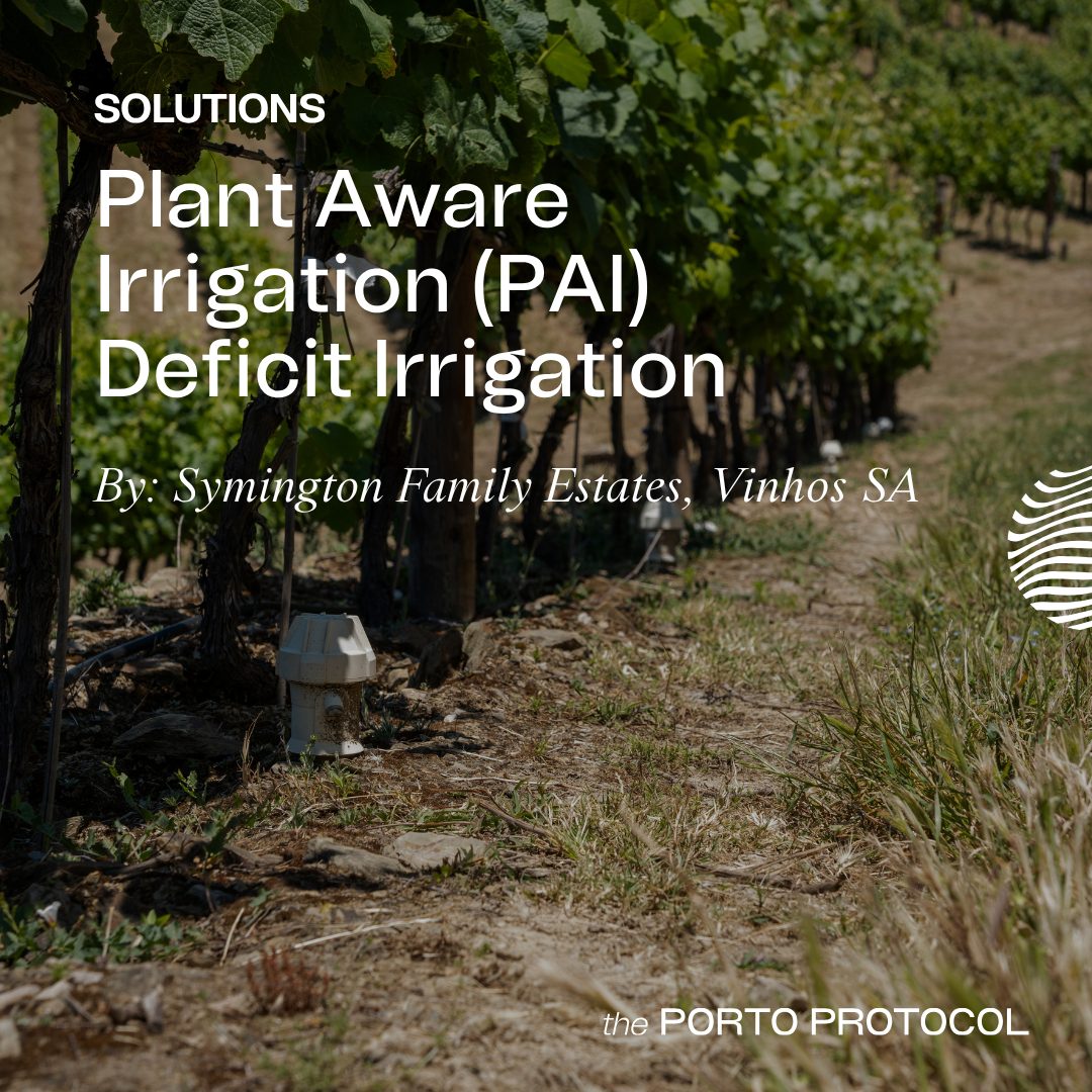 Plant Aware Irrigation (PAI) Deficit Irrigation by Symington Family Estates, Vinhos SA
