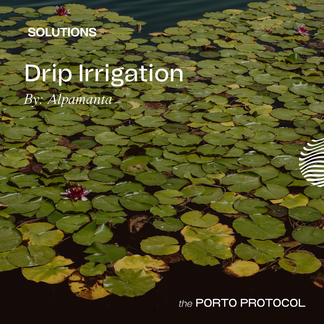 Drip Irrigation by Alpamanta