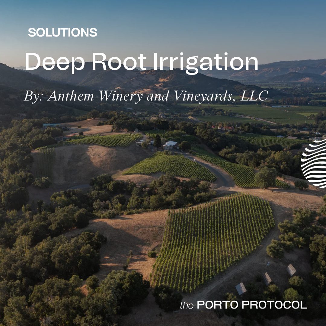 Deep Root Irrigation by Anthem Winery and Vineyards, LLC
