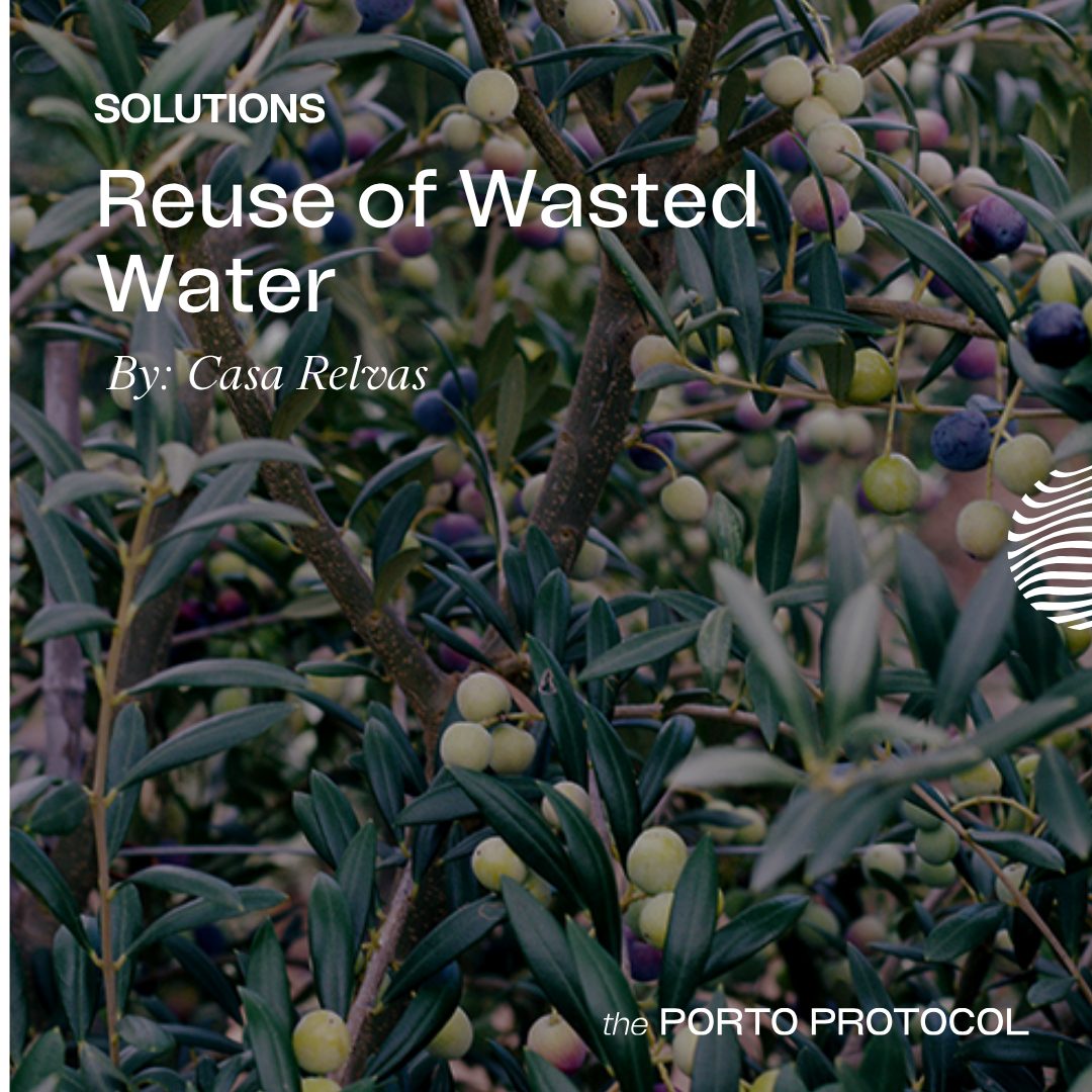Reuse of Wasted Water by Casa Relvas