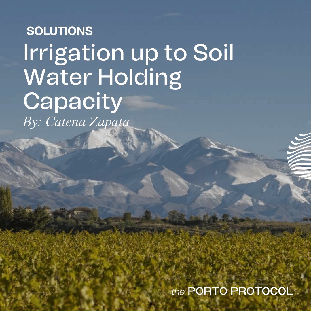 Irrigation up to Soil Water Holding Capacity by Catena Zapata