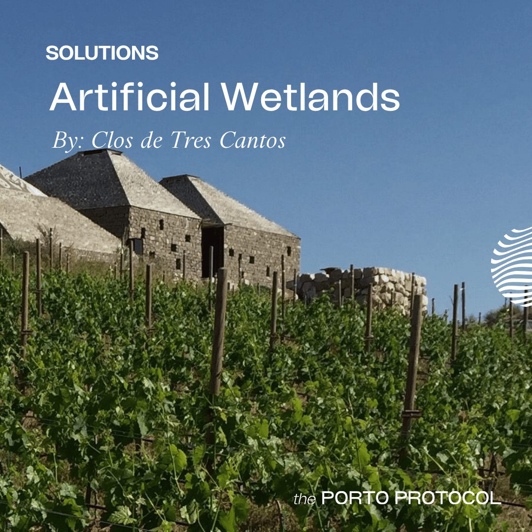 Artifical Wetlands by Clos de Tres Cantos