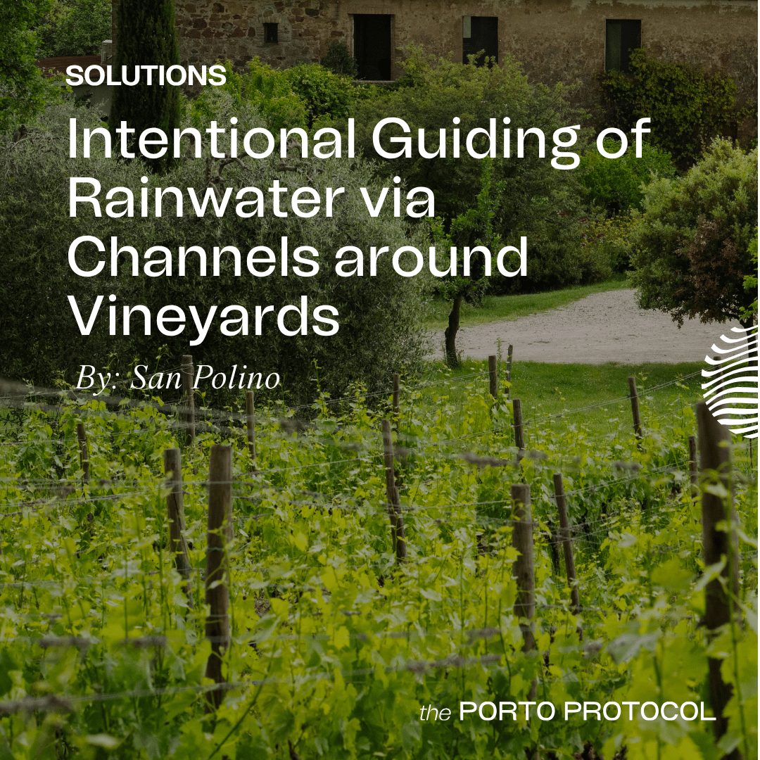 Intentional Guiding of Rainwater via Channels around Vineyards by San Polino