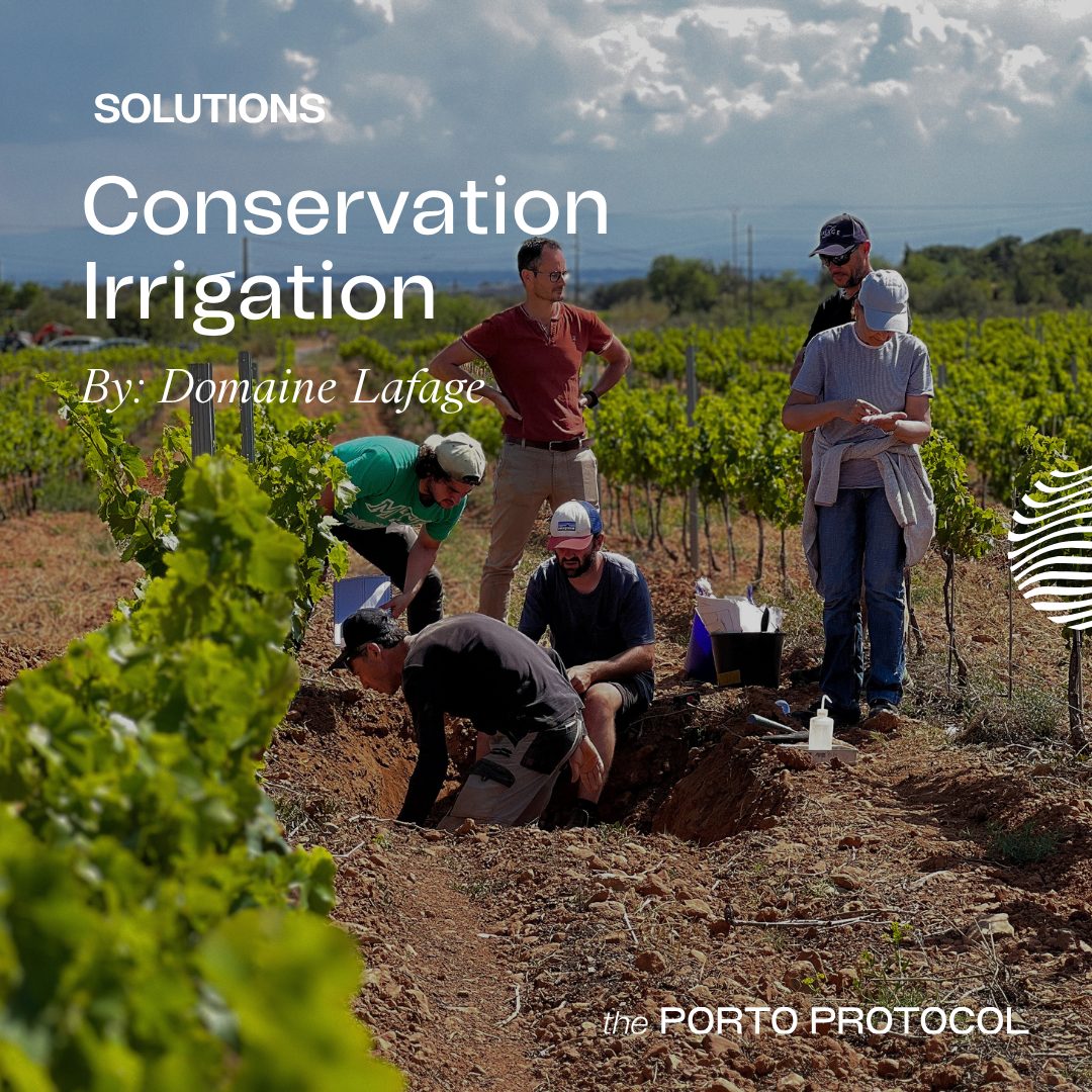 Conservation Irrigation by Domaine Lafage